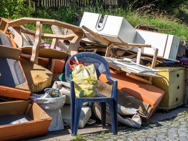 Best Electronics and E-Waste Disposal  in Cattaraugus, NY
